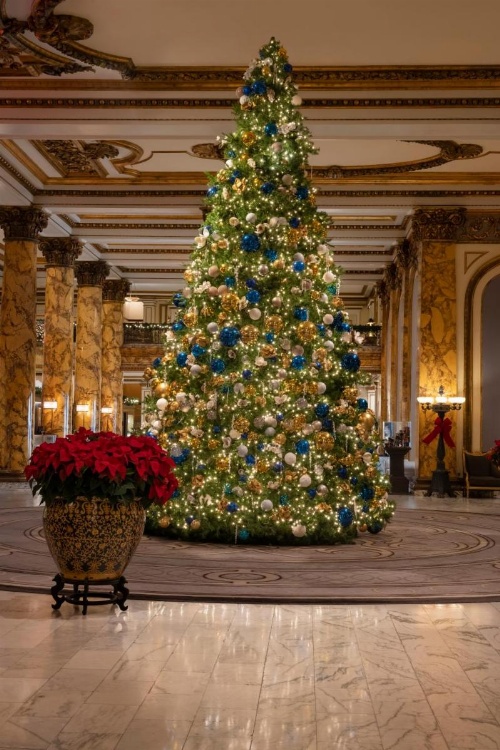The Fairmont San Francisco image 15